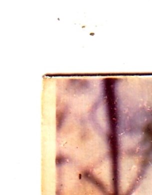 Janet Adams Obituary - Jacksonville, FL