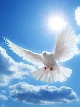 Obituary of Marie Ann Ice