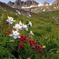 Obituary of Richard Dean Jones