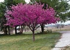 Obituary of Helen M. Wood