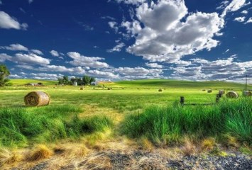 Obituary of Arthur Leonard Cameron