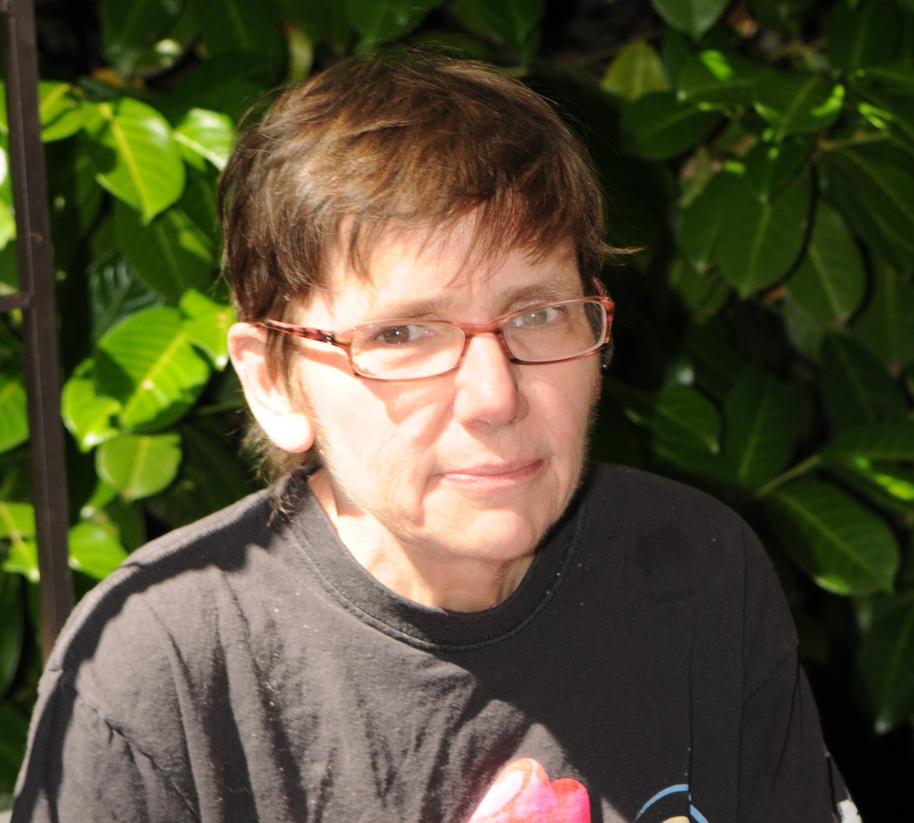Star News Medford Wi Obituaries - o2rfibf