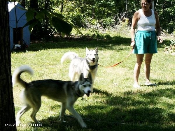 Elizabeth Lipscomb Obituary Madison Heights Va