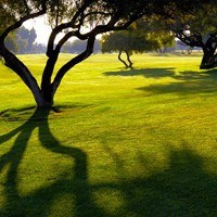 Obituary of James O. Culbreth