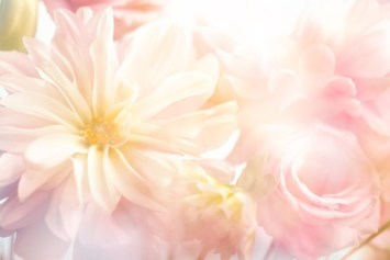 Avis de décès de Sophia Cabada Guzman