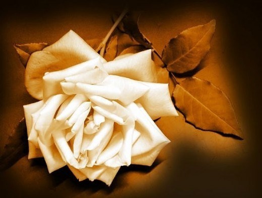 obituary image