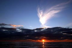 Obituary of Frances Baucom Forester