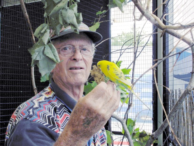 obituary image