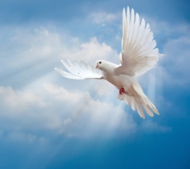 Obituary of Maria Eleanor Sheppard