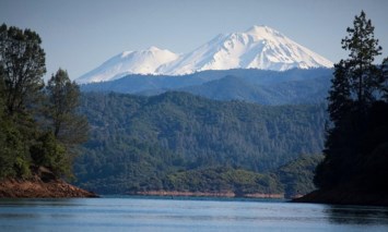 Obituary of Sheila Anne Harrison