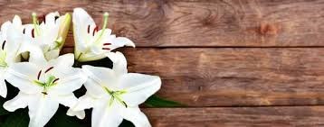 Obituary of Arsenio Rios Garcia