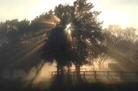 Obituary of Robert Serna