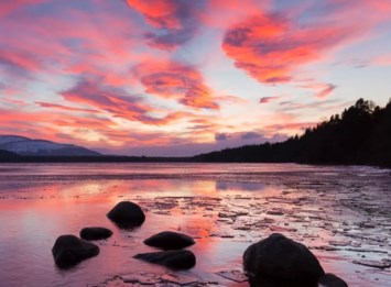 Obituary of Florence May Miller