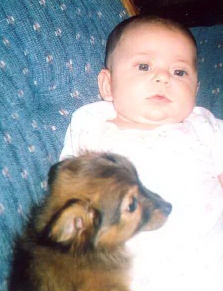 Obituary of Lacey Renee Shanholtz