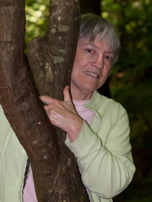 Obituary of Lynne Kathleen Wehrman