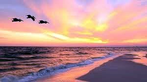 Obituario de M. Lorraine Murray
