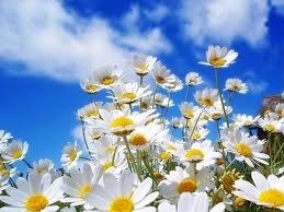 Obituary of Delores M King