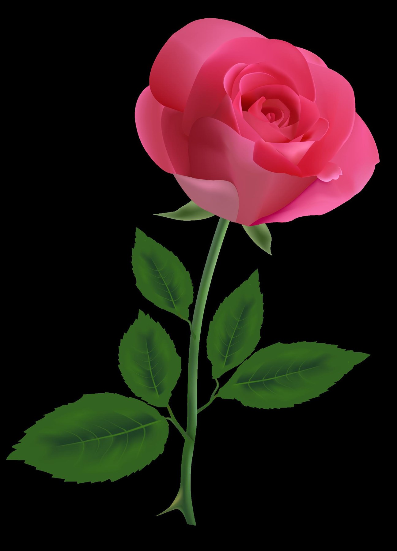 Obituary of Bonnie Jean Huston