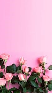 Obituary of Shelby Rose Brown Knight