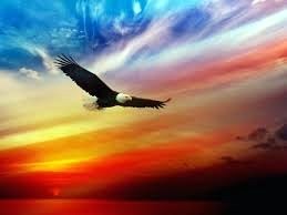 Obituary of Mr. Edd Frank Barnes