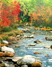 Obituary of Jeanne E. Kuhn