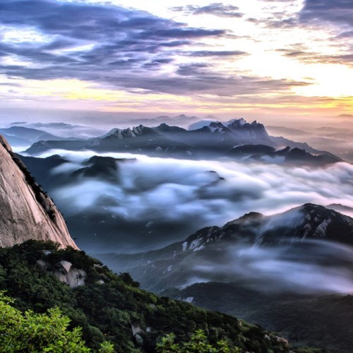 Obituary of Melanie Sue Tate