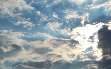 Obituary of Doreen Bell