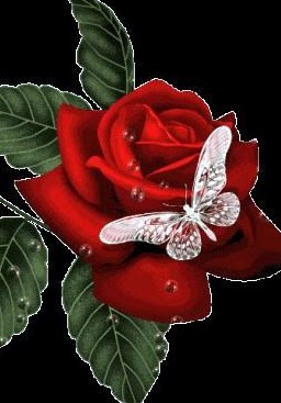 Obituary of Mary A. Lewis