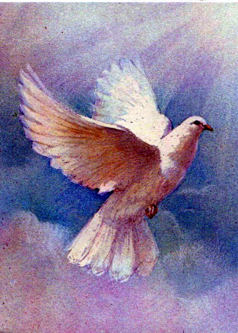 Obituario de Roy Walter Aldous