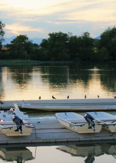 Obituary of Alex Chi Wang Tang