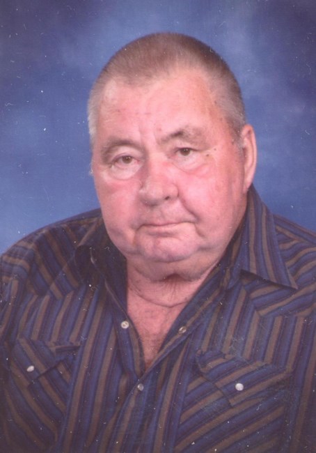 Obituary of Alfred Louis Pivonka Sr.