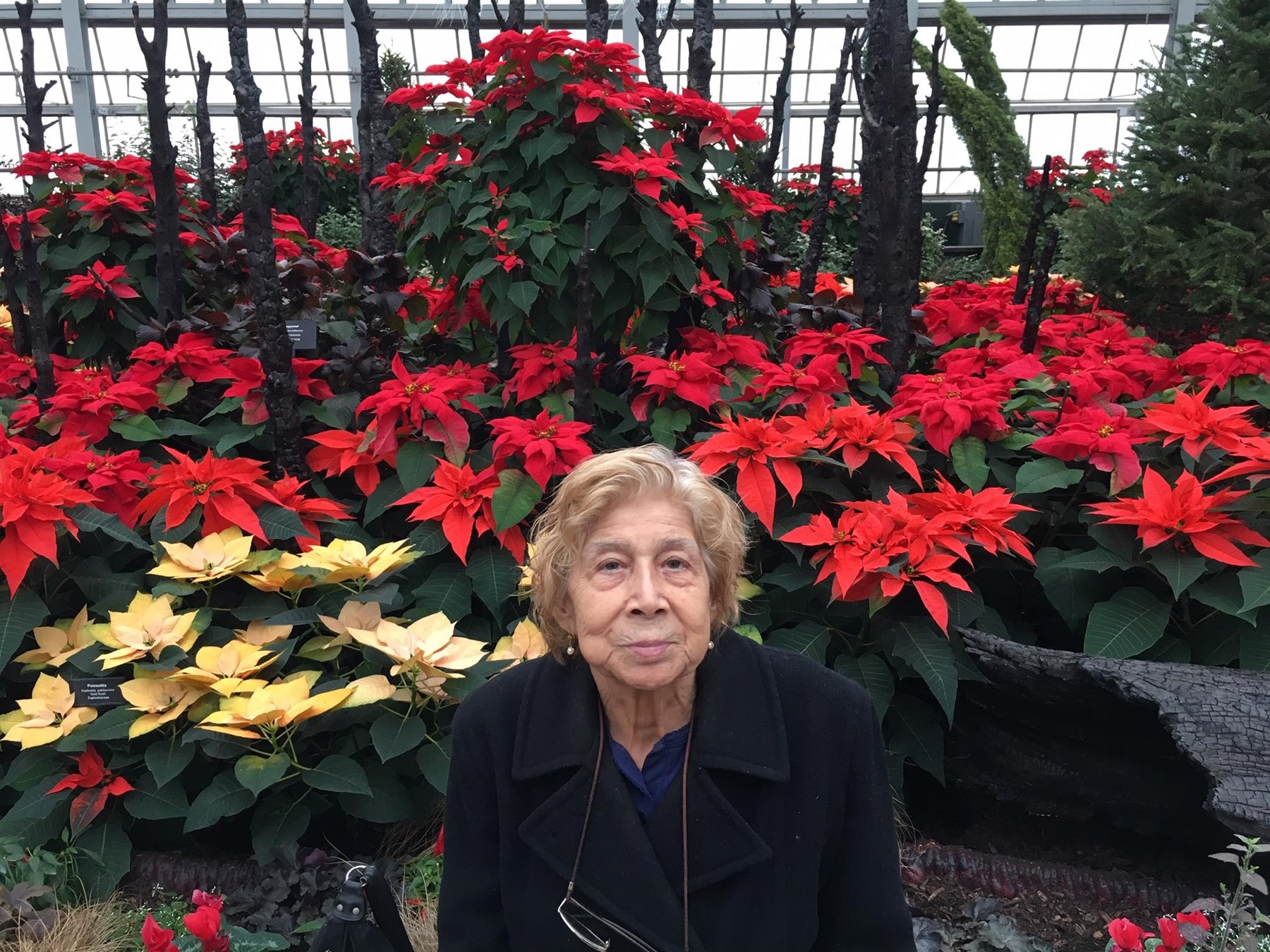 Obituary of Socorro "Nena" Gomez