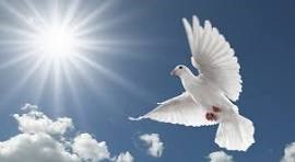 Obituary of Ronald Bruce Cockman