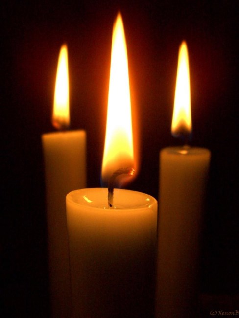 Obituary of Wayne Earl Bitter