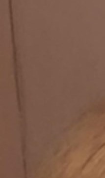 Patricia Palmer Obituary - Bradenton, FL