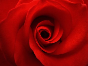 Obituary of Betty Ann Larson