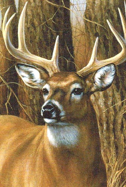 Obituary of Gary Wayne Holbrook