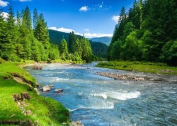 Obituario de Robert Harold Wolf