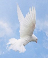 Obituary of Julius J. Green