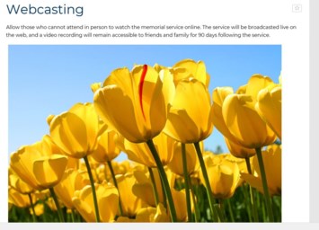 Obituary of Cathleen Elizabeth Ward