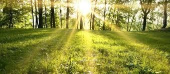 Obituary of William Adrian Lovell