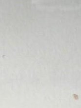 Steven Laws Obituary - Mesa, AZ