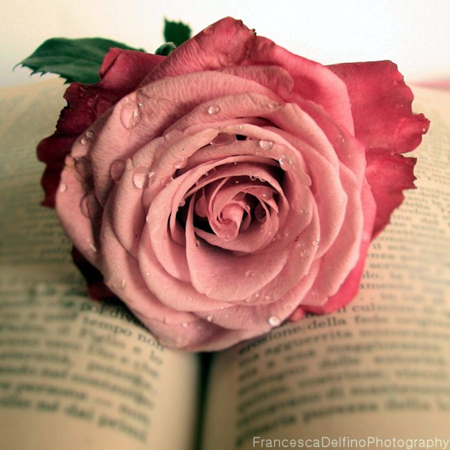 Obituary of May Elizabeth Kirby