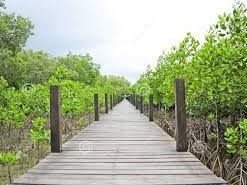 Obituary of Cesar Lopez