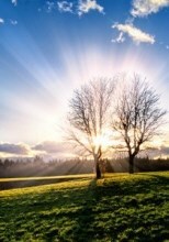 Obituary of John S. Paluch