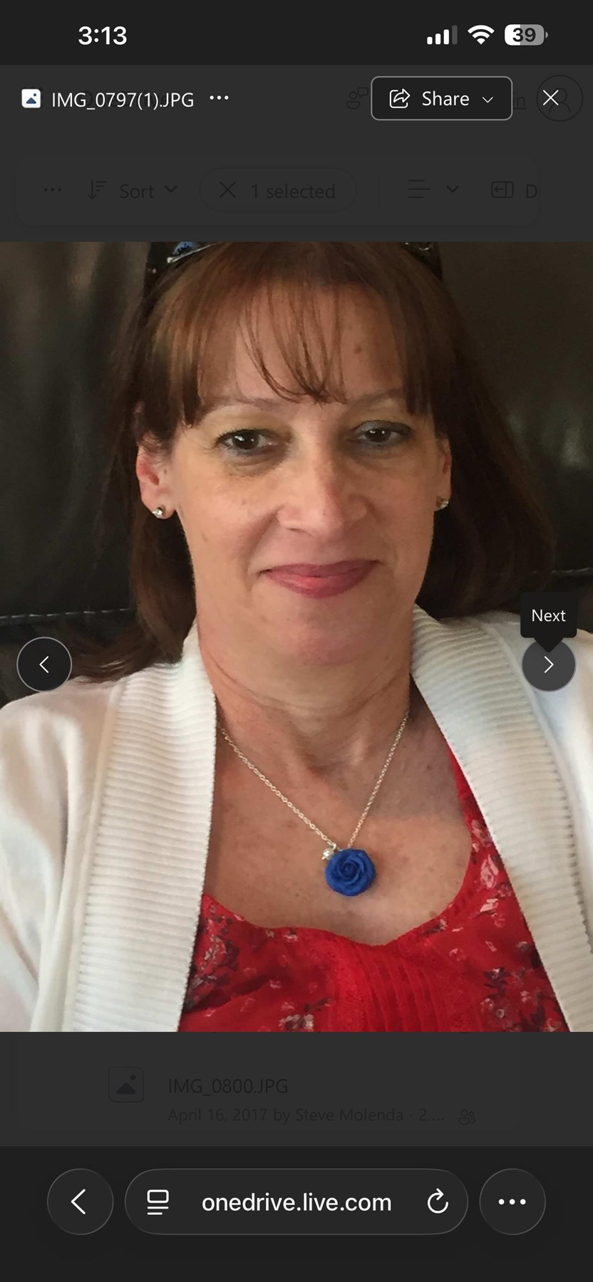Obituary of Diane Gail Molenda