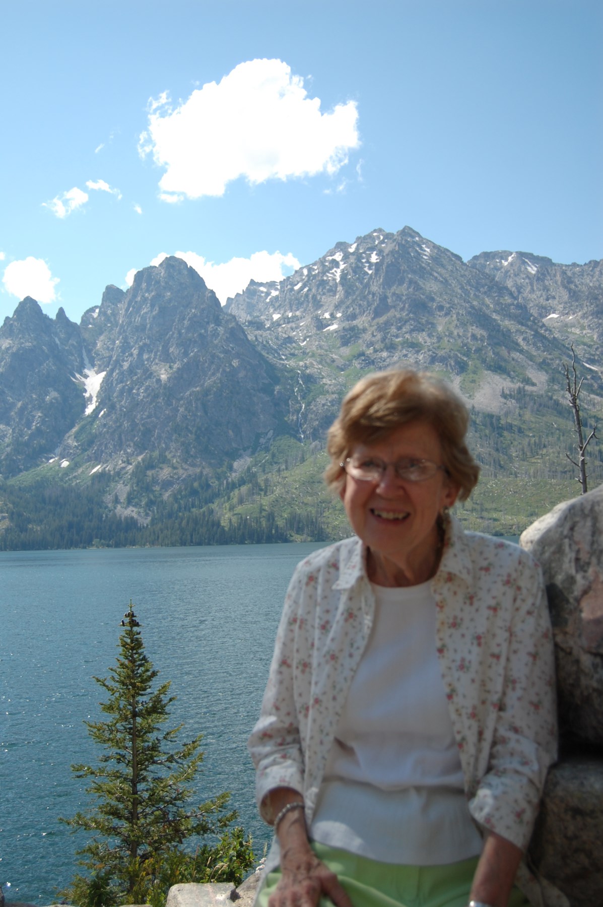 Dorothy Mclaren Obituary Tampa Fl