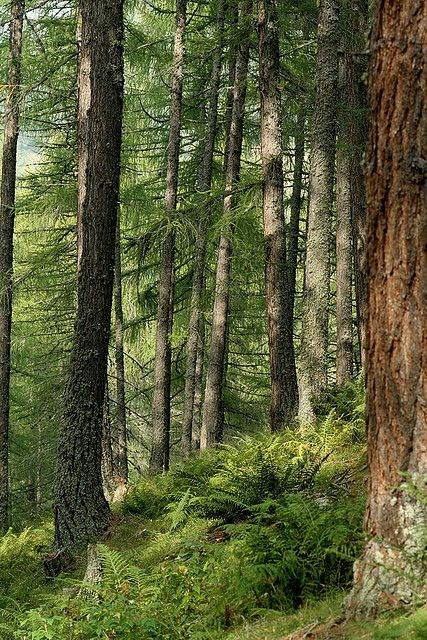 Obituary of Richard John Bender