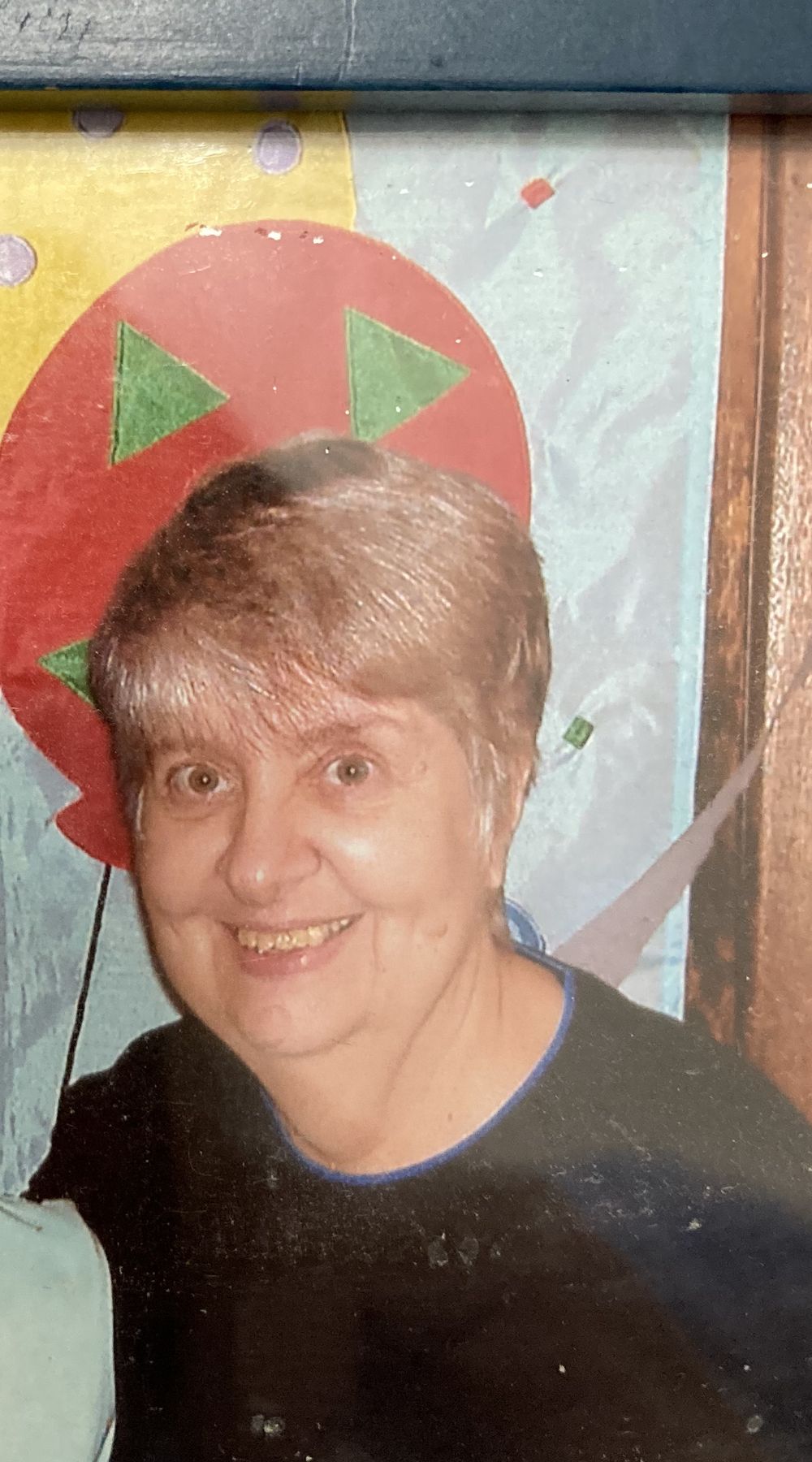 Obituary of Barbara Ann Fitzsimmons