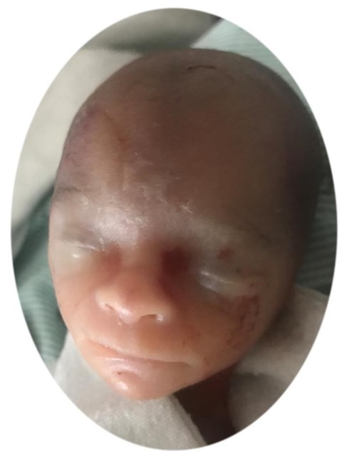 Obituario de Kaylin Dawn Mitchell